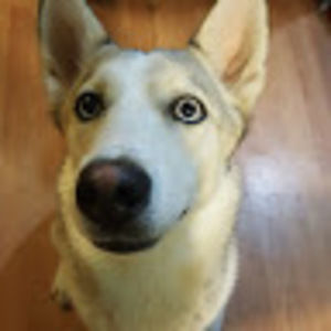 Meet your Posher, Lilah